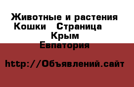 Животные и растения Кошки - Страница 5 . Крым,Евпатория